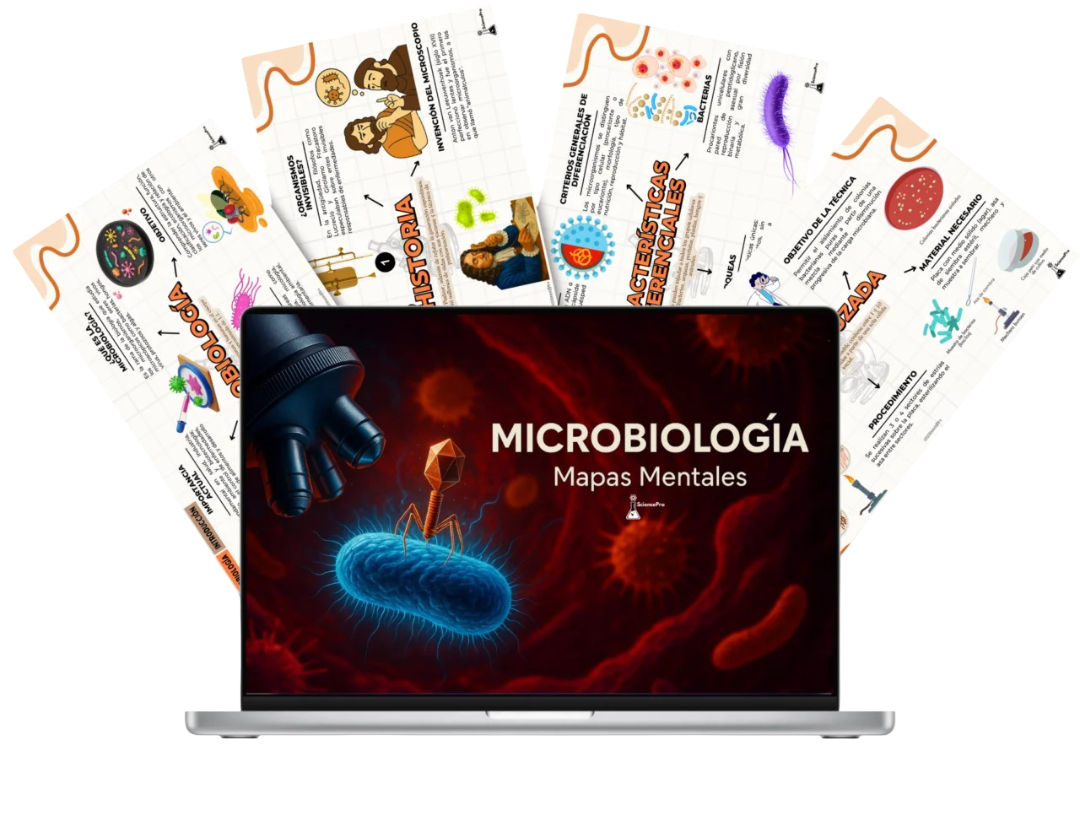 Mockups (75)